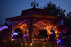 DAYLIGHT, DARK NIGHT AND BLUE SKIES WITH PAPA BUENO